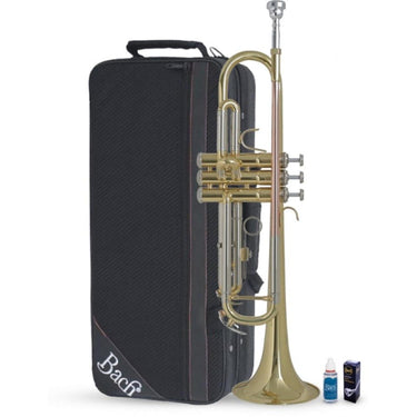 Trompeta Vincent Bach Tr655 Laqueada